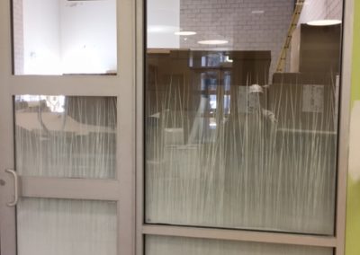Solyx Beach Grass decorative window film