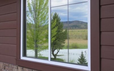 House Window Tinting Near Me in Colorado: Your Complete Guide